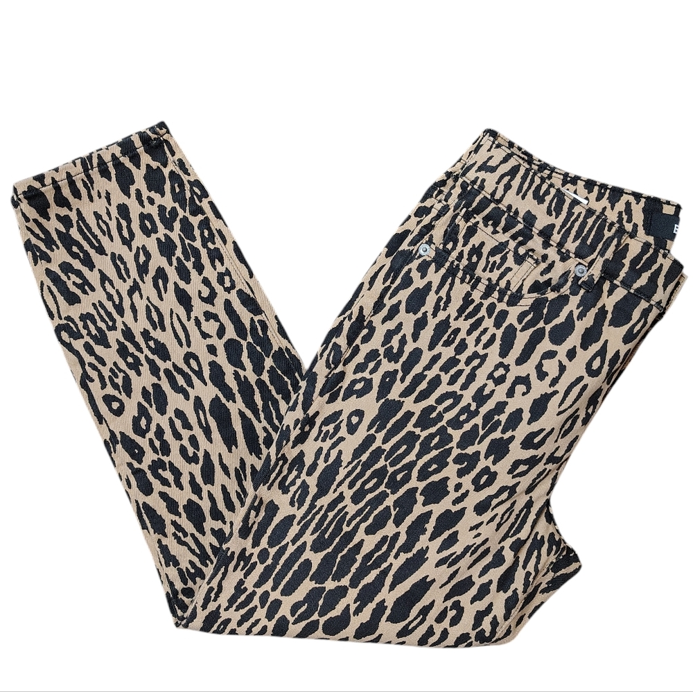 Express Pants